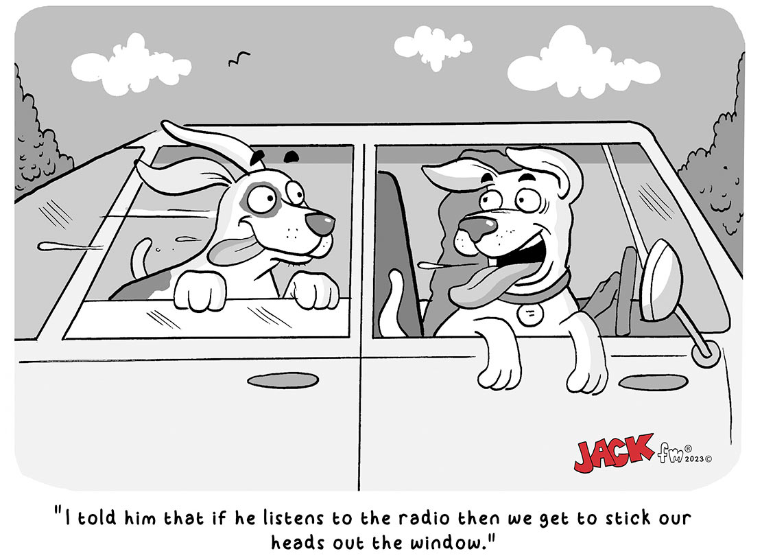 Cartoon drawing of two dogs riding in a car with their heads sticking out of the window.