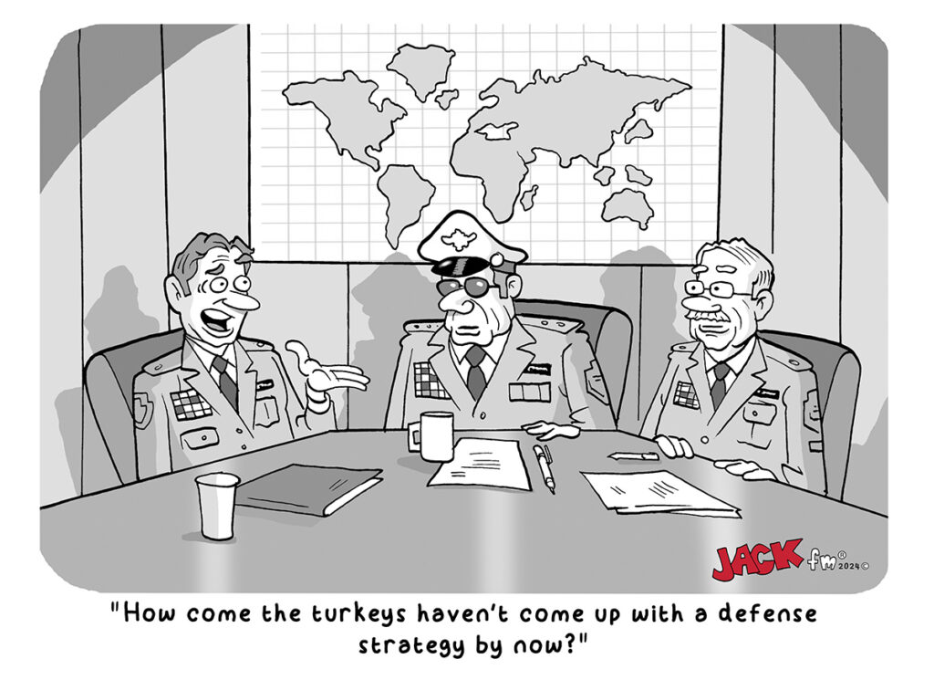 Turkey Defense Strategy