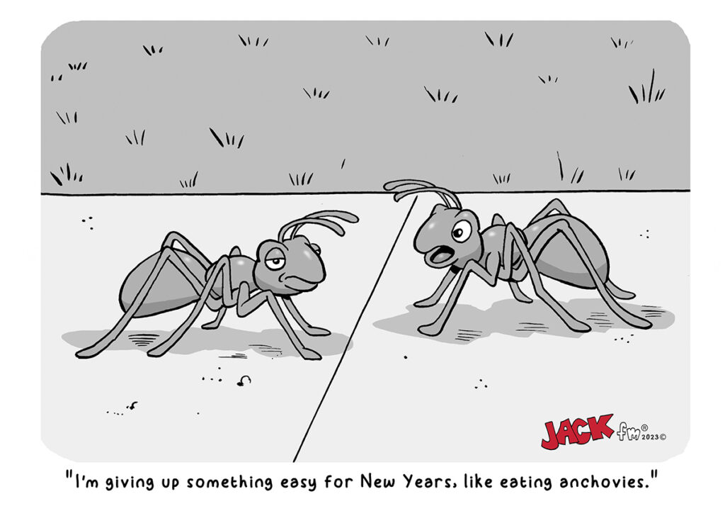 New Years Ants