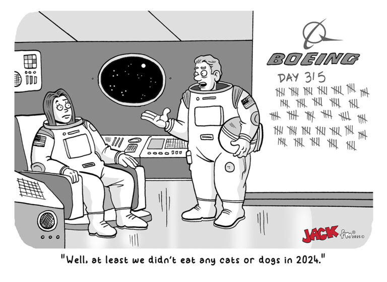 2024 Cats and Dogs