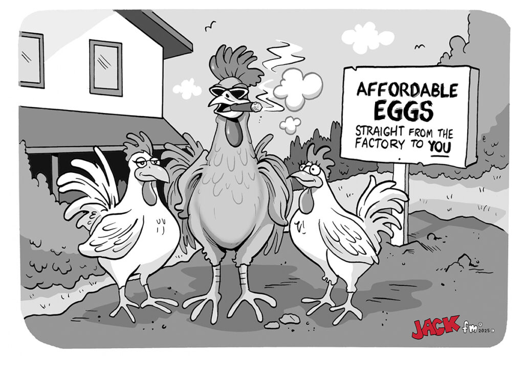 Affordable Eggs