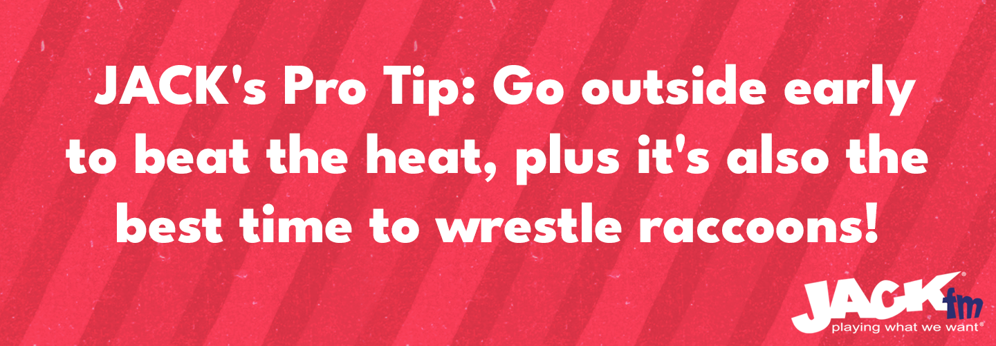Pro Tip