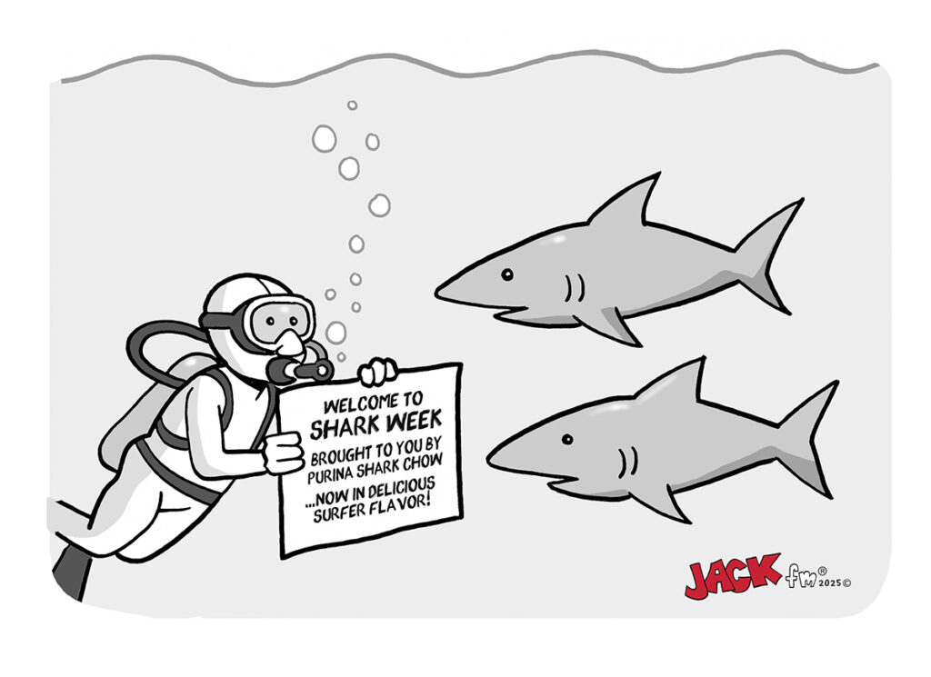 Shark Week shark chow