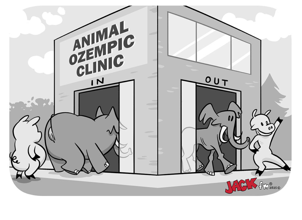 Animal Ozempic