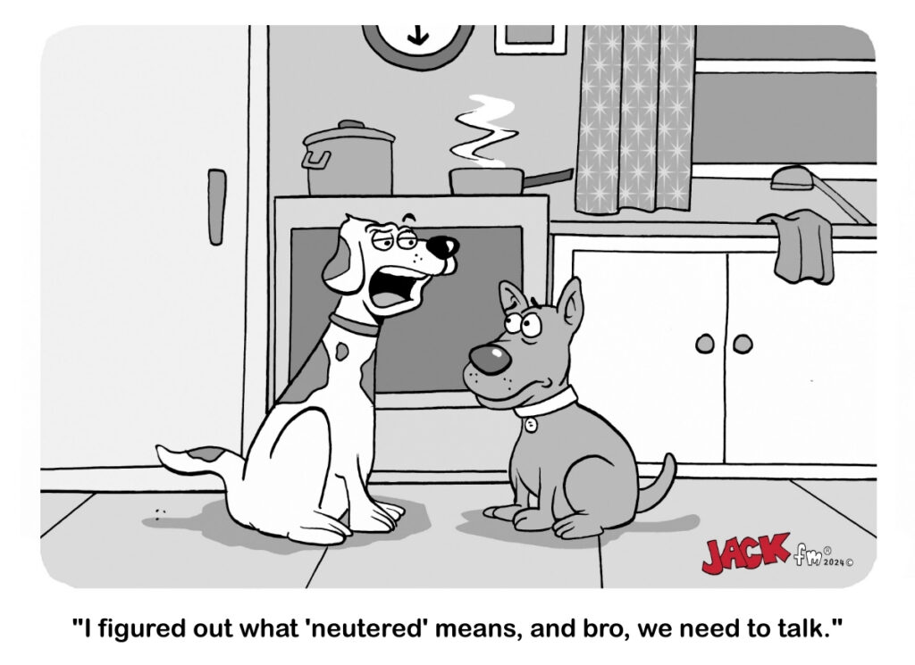 neutered talk