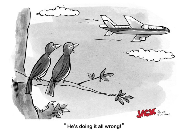 jackfm_2603_LMT_0080a_birdplane