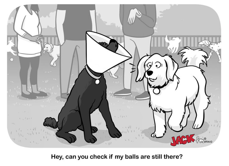 jackfm_2606_LMT_0124a_dogcone